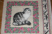 Tissu pour coussin avec magnifique chat